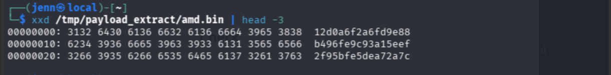 xxd showing amd.bin is ASCII hex, not raw bytes